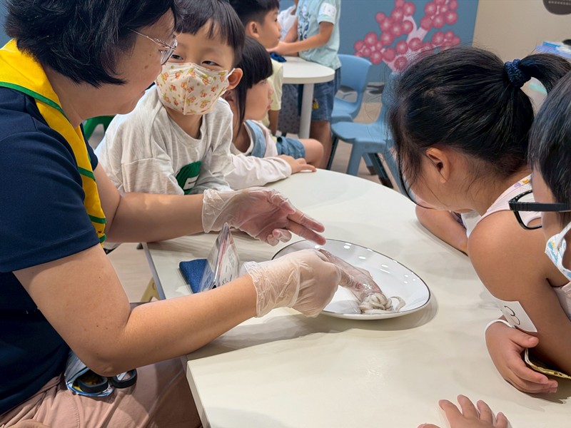 幼兒園：餐桌上的科學-貝類篇(7/17)-圖片37