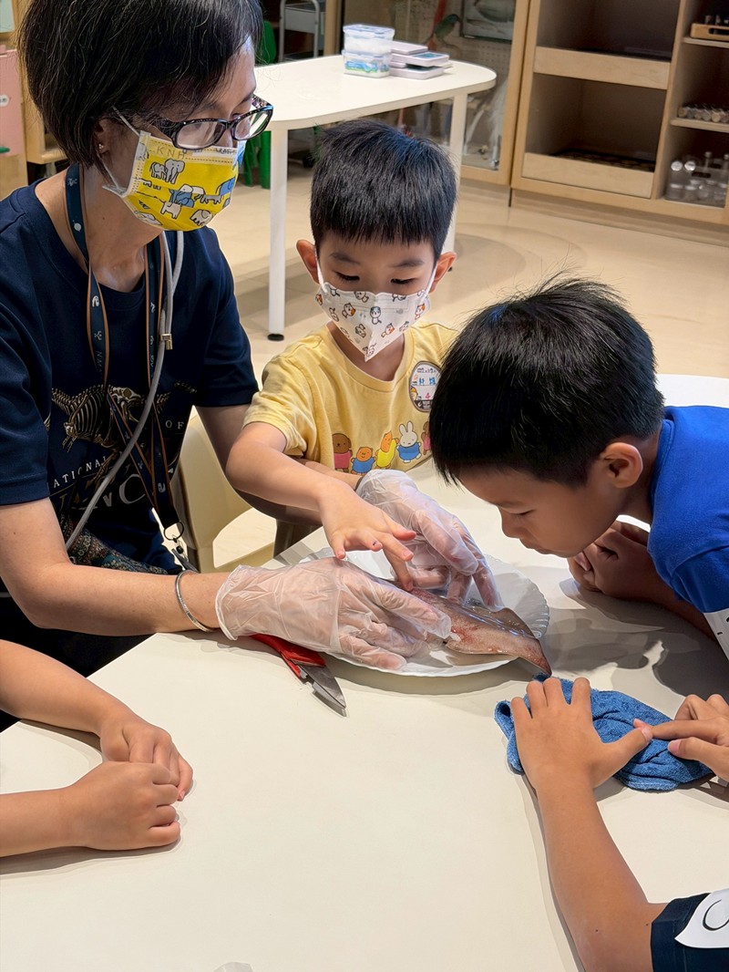 幼兒園：餐桌上的科學-貝類篇(7/17)-圖片38