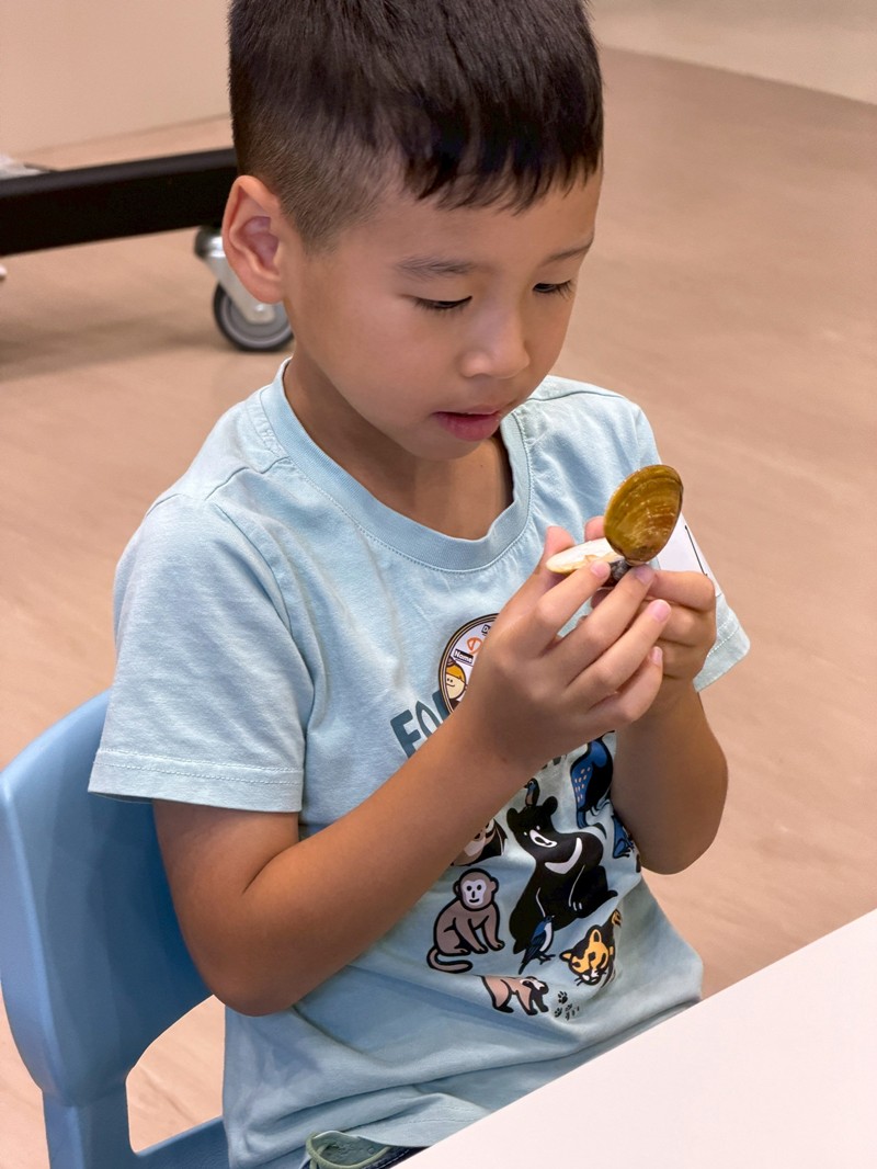 幼兒園：餐桌上的科學-貝類篇(7/17)-圖片58