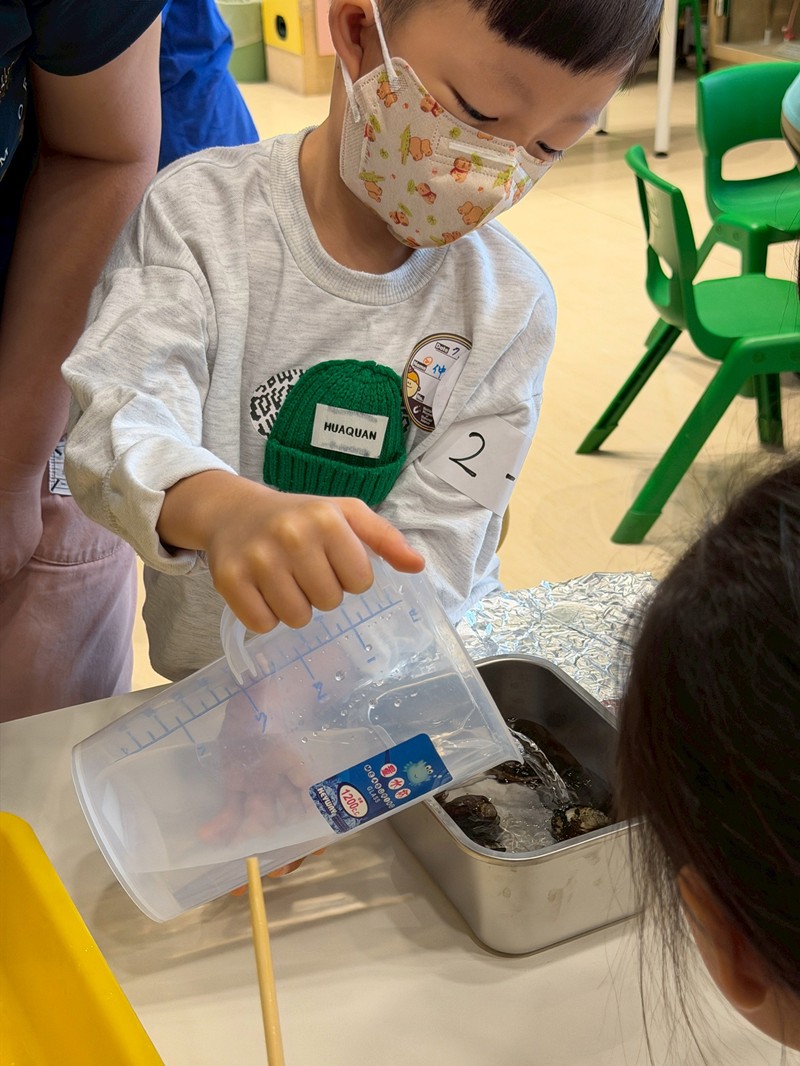 幼兒園：餐桌上的科學-貝類篇(7/17)-圖片62