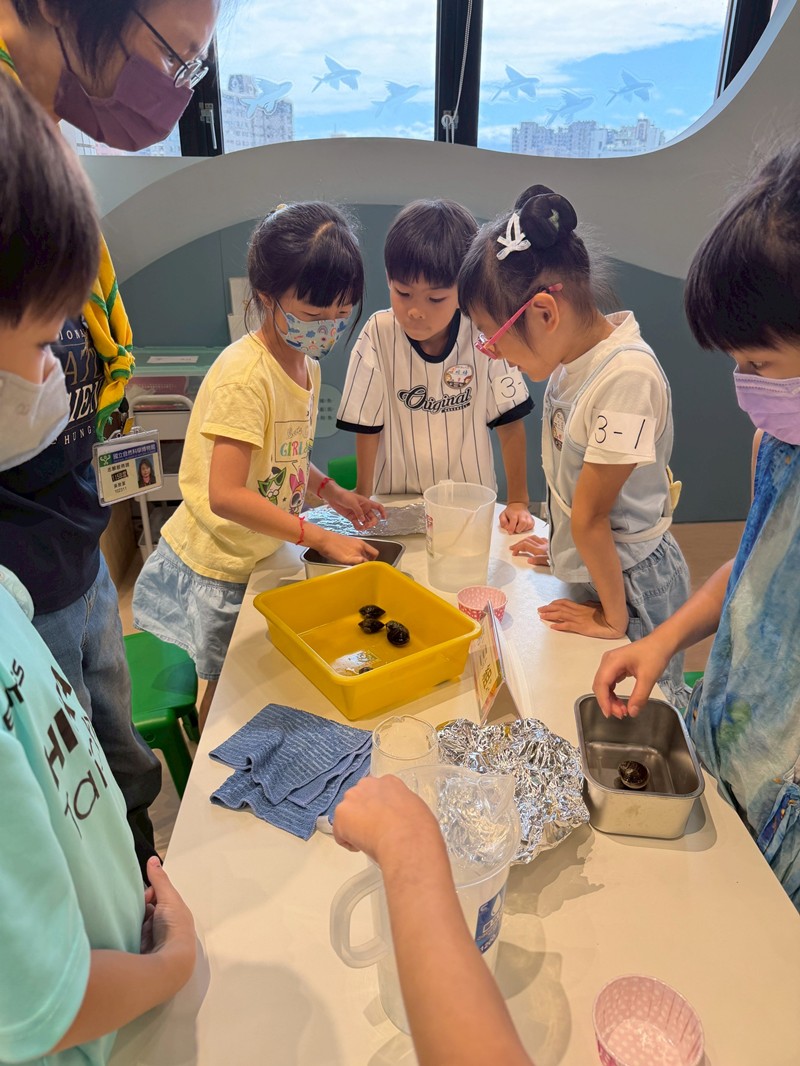 幼兒園：餐桌上的科學-貝類篇(7/17)-圖片66