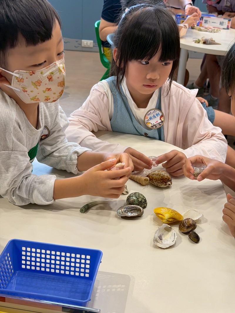 幼兒園：餐桌上的科學-貝類篇(7/17)-圖片83