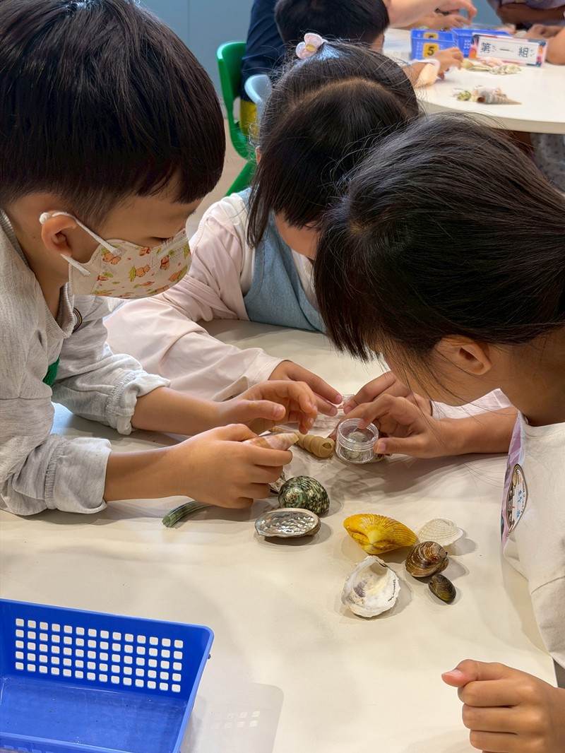 幼兒園：餐桌上的科學-貝類篇(7/17)-圖片84