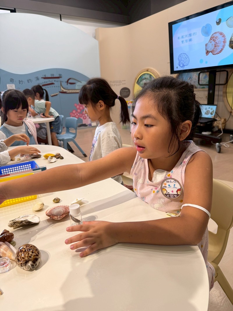 幼兒園：餐桌上的科學-貝類篇(7/17)-圖片87