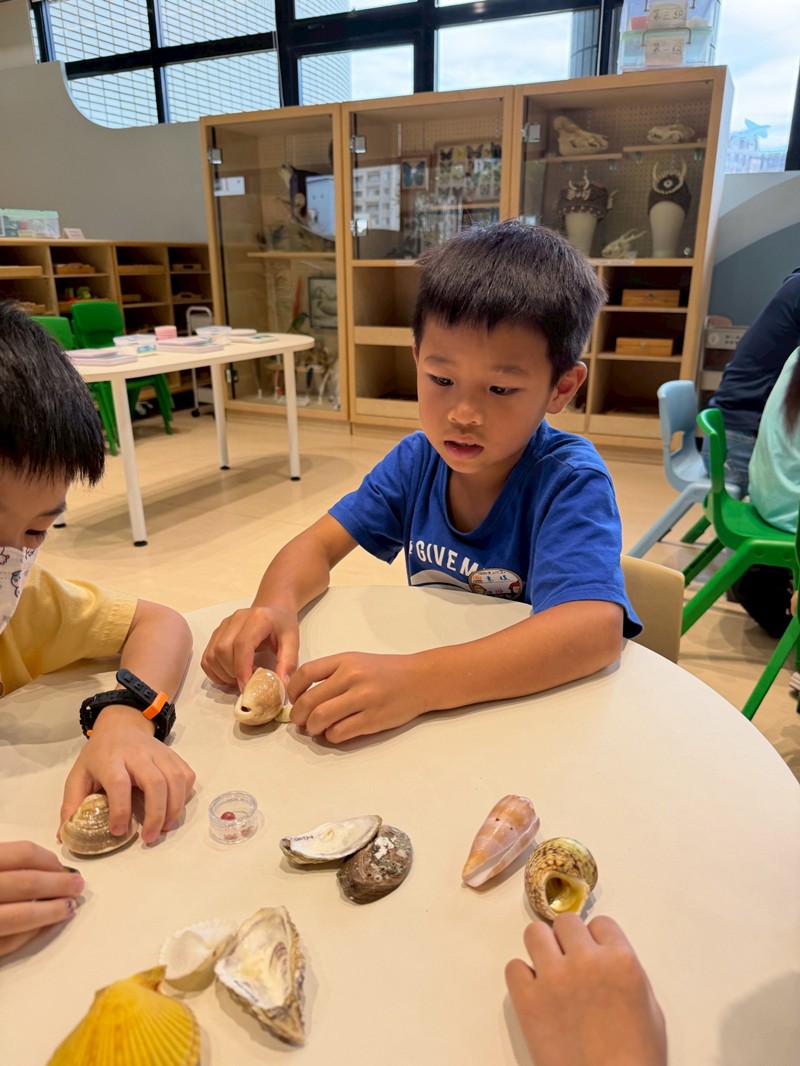 幼兒園：餐桌上的科學-貝類篇(7/17)-圖片90