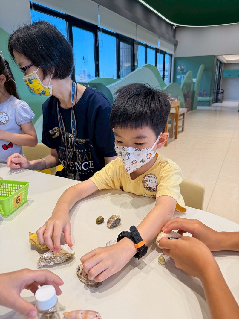 幼兒園：餐桌上的科學-貝類篇(7/17)-圖片92