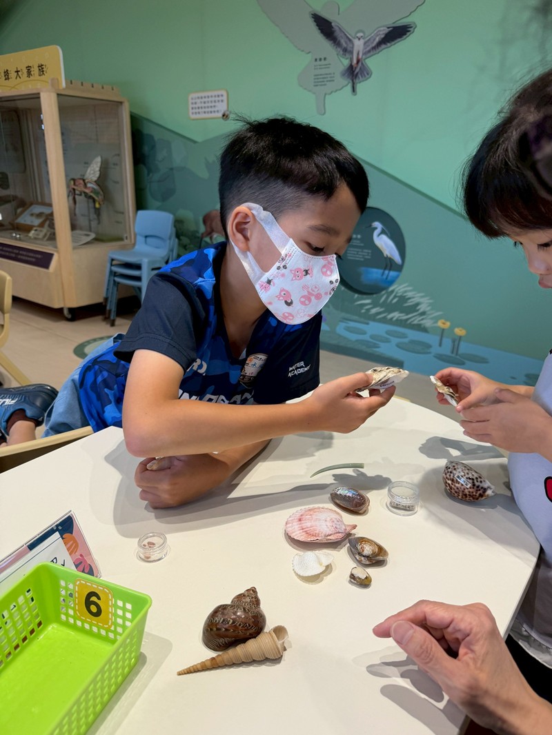 幼兒園：餐桌上的科學-貝類篇(7/17)-圖片93