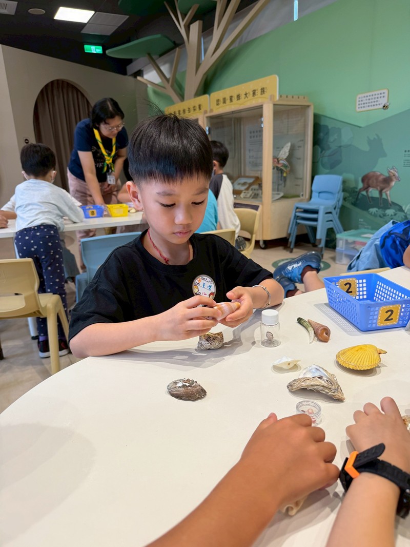 幼兒園：餐桌上的科學-貝類篇(7/17)-圖片94