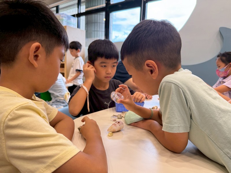 幼兒園：餐桌上的科學-貝類篇(7/17)-圖片96