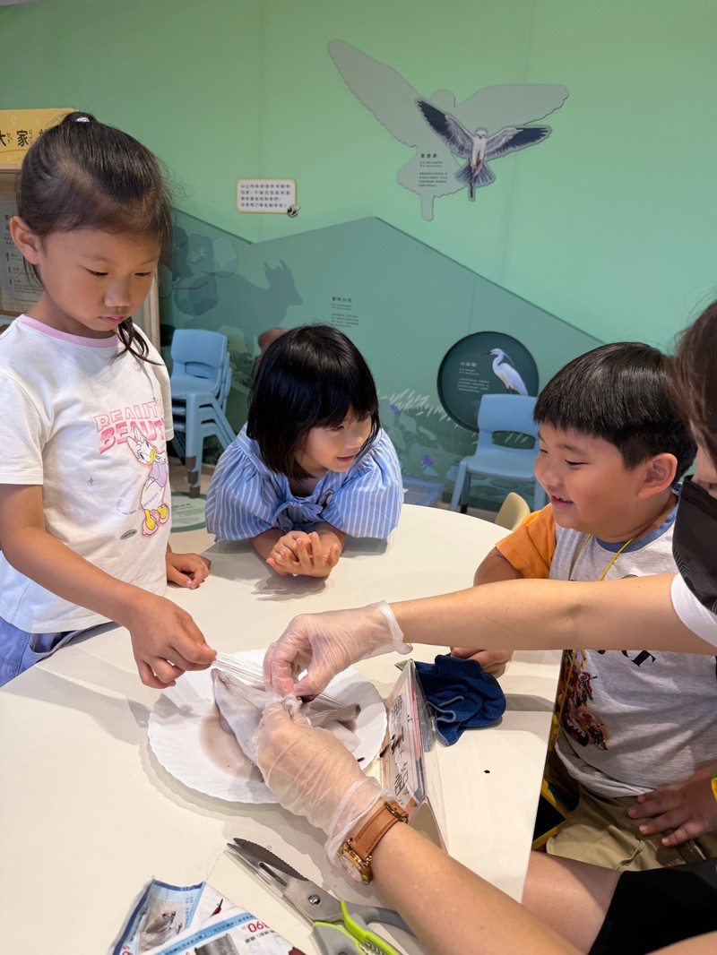 幼兒園：餐桌上的科學-貝類篇(7/22)-圖片10