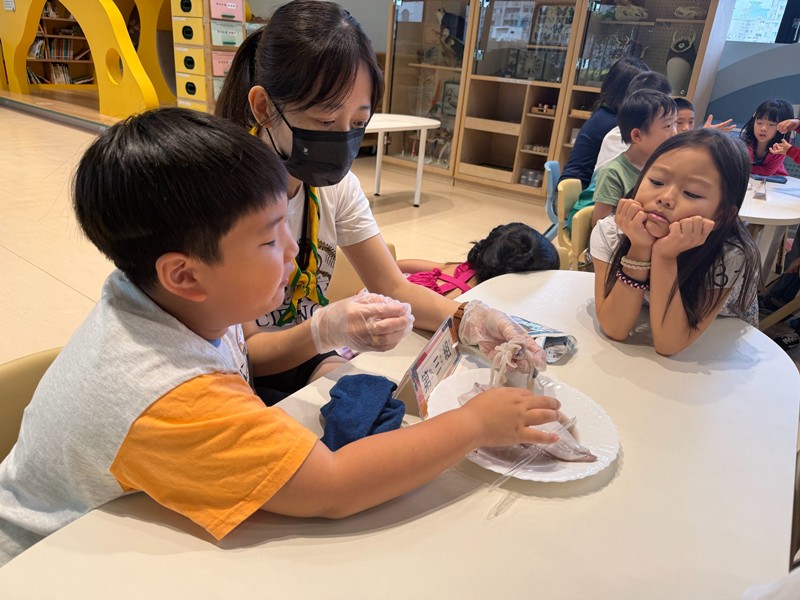 幼兒園：餐桌上的科學-貝類篇(7/22)-圖片11
