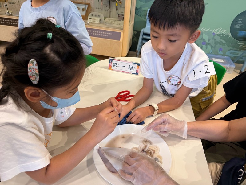 幼兒園：餐桌上的科學-貝類篇(7/22)-圖片12