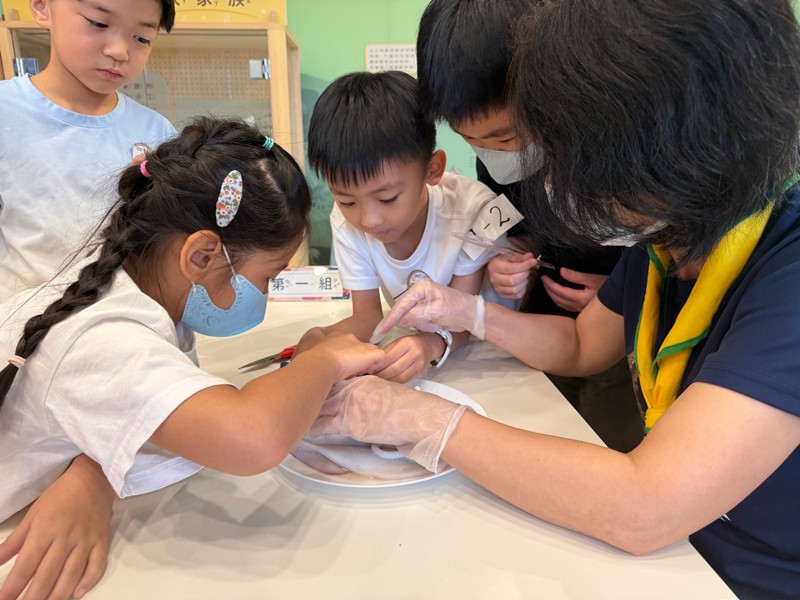 幼兒園：餐桌上的科學-貝類篇(7/22)-圖片13
