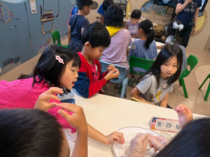 幼兒園：餐桌上的科學-貝類篇(7/22)-圖片14