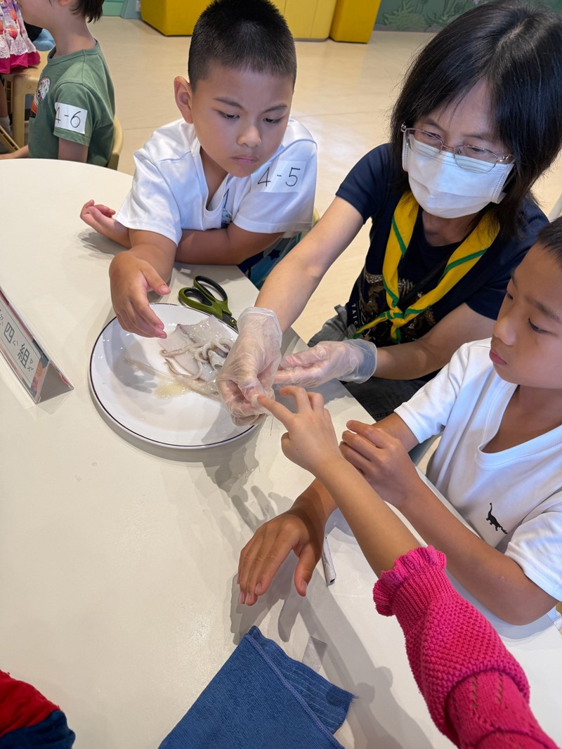 幼兒園：餐桌上的科學-貝類篇(7/22)-圖片15