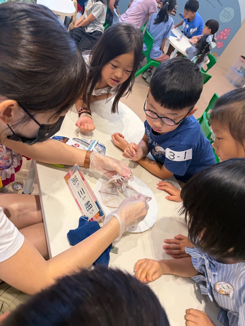 幼兒園：餐桌上的科學-貝類篇(7/22)-圖片16