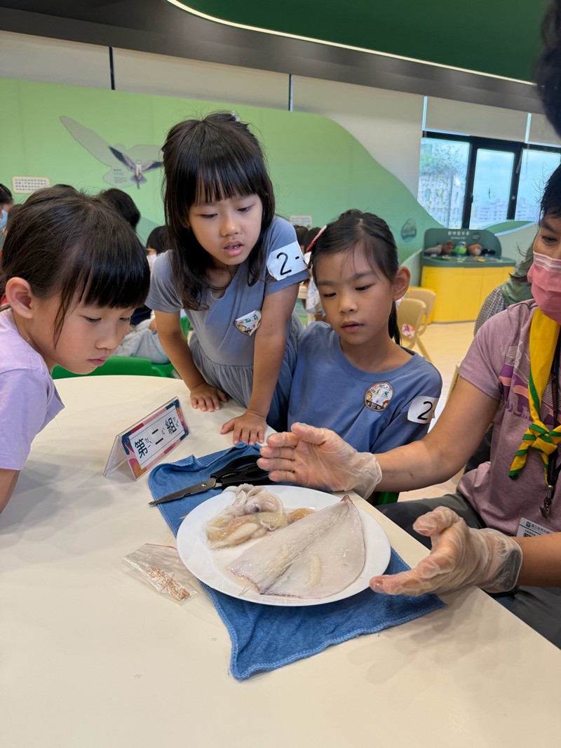 幼兒園：餐桌上的科學-貝類篇(7/22)-圖片17