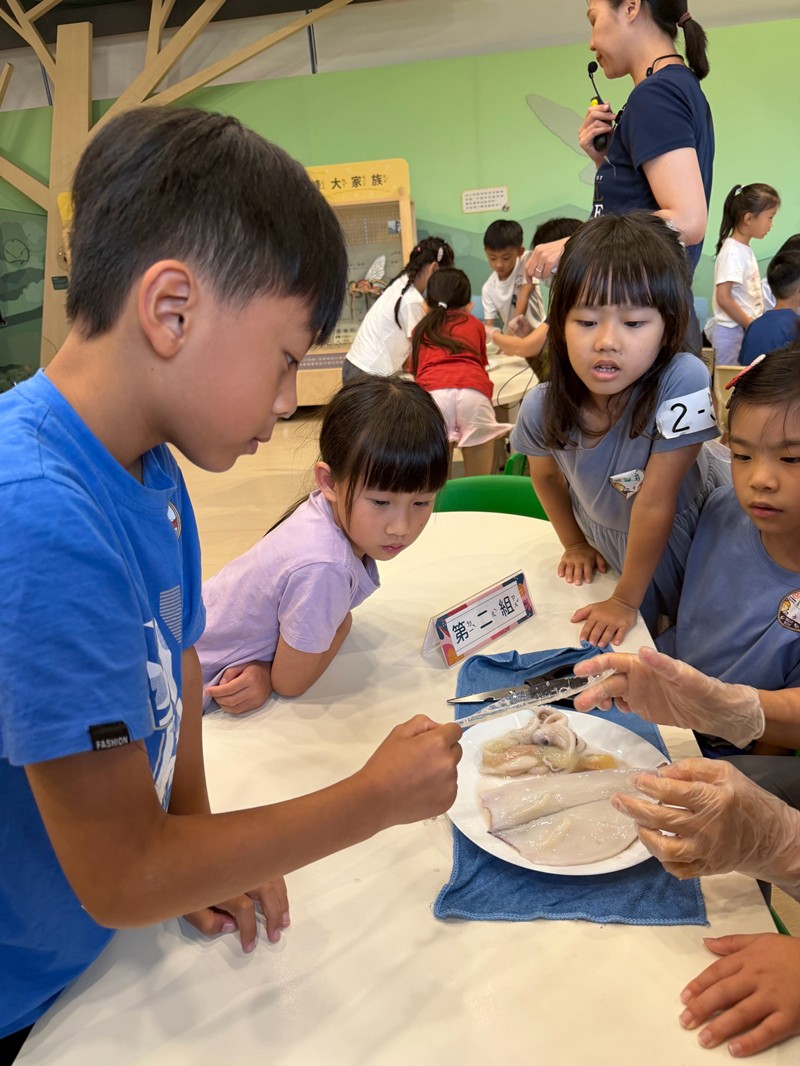 幼兒園：餐桌上的科學-貝類篇(7/22)-圖片18