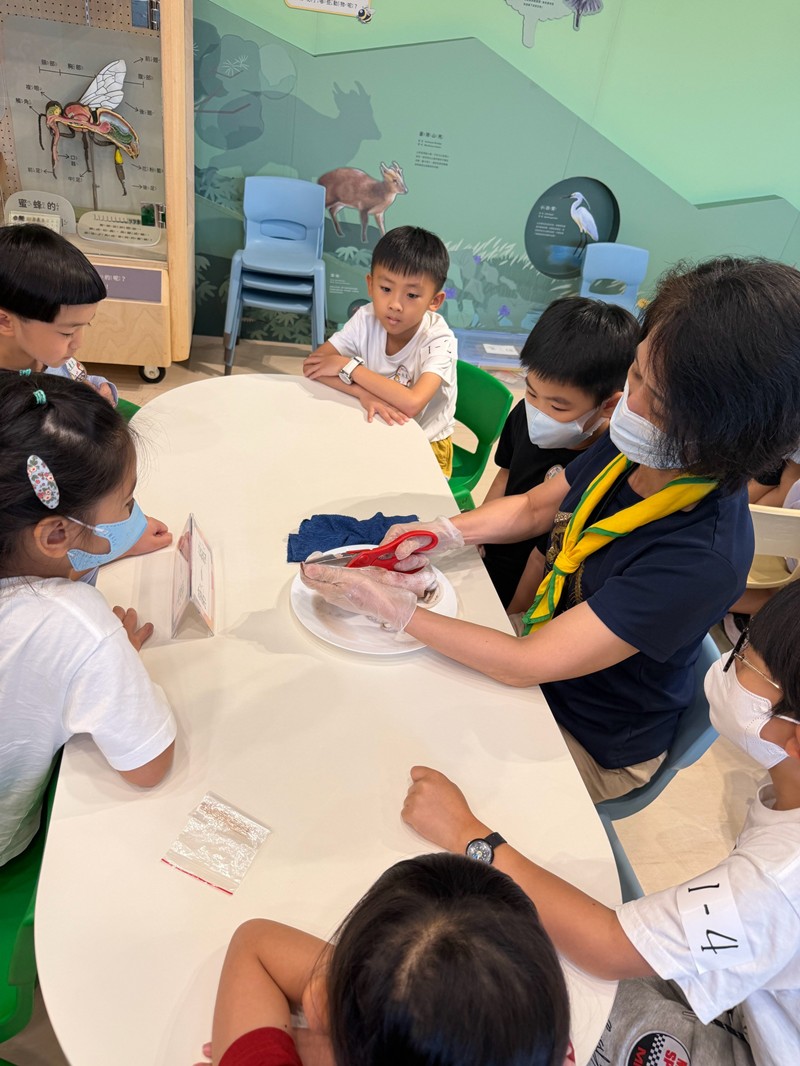 幼兒園：餐桌上的科學-貝類篇(7/22)-圖片22