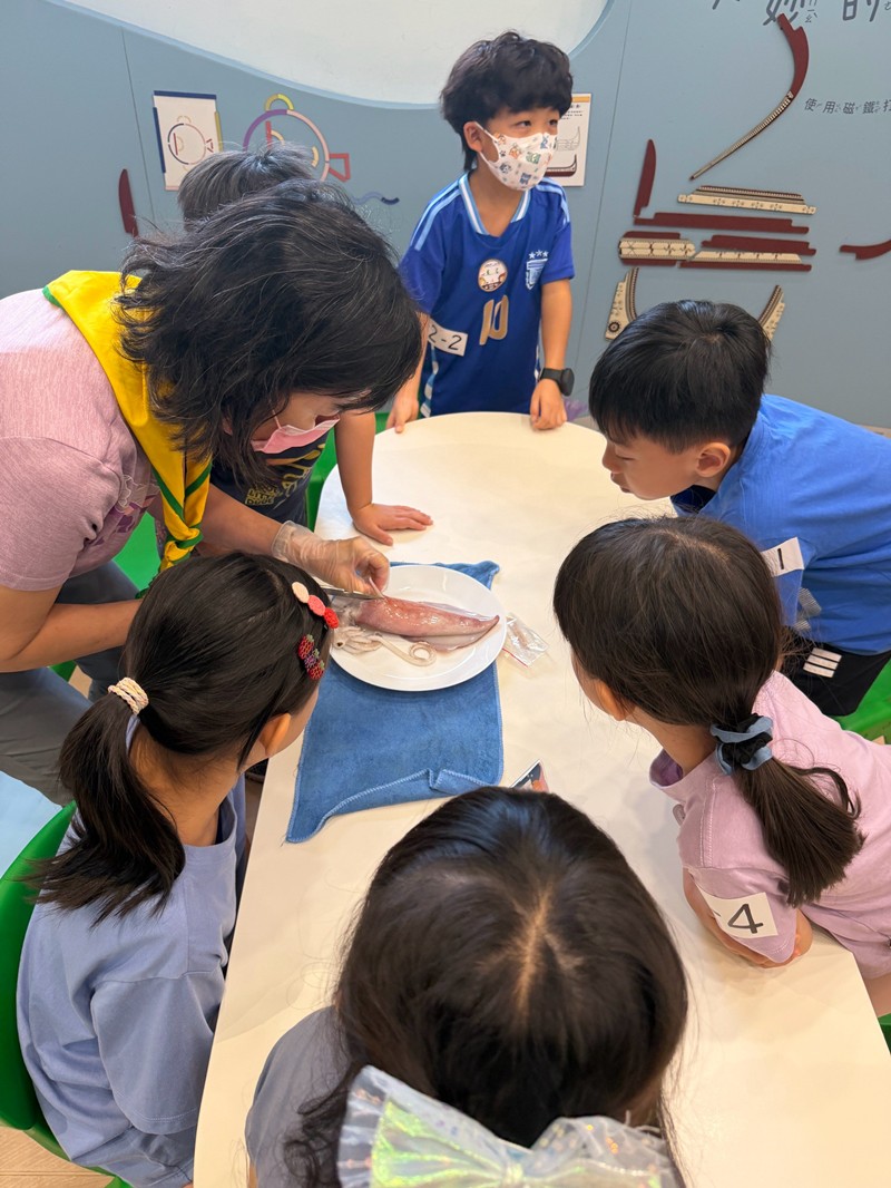 幼兒園：餐桌上的科學-貝類篇(7/22)-圖片23