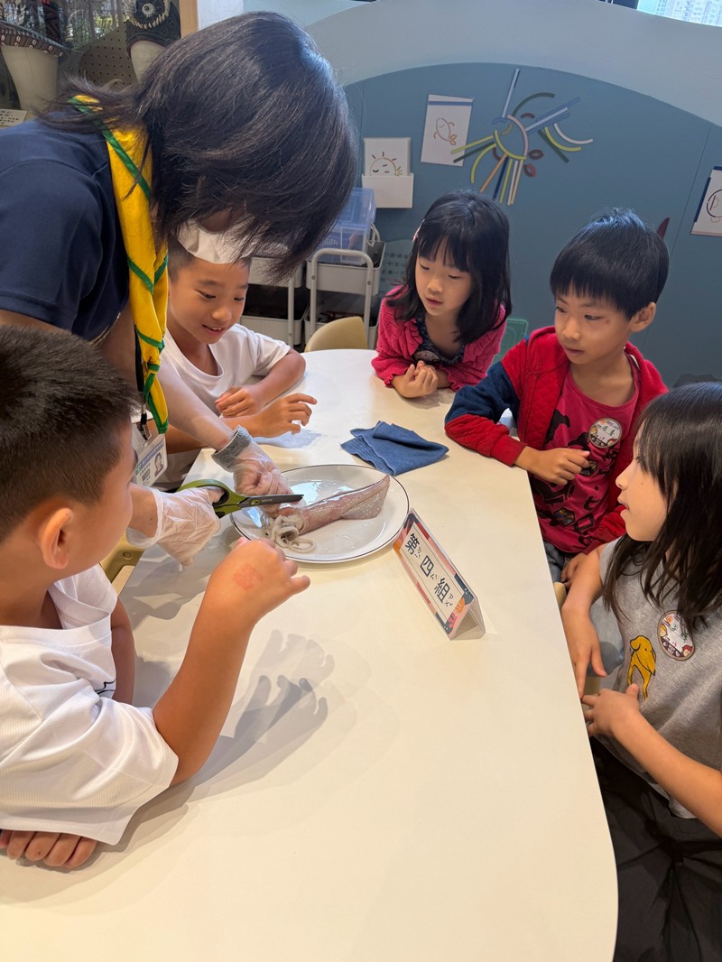 幼兒園：餐桌上的科學-貝類篇(7/22)-圖片24