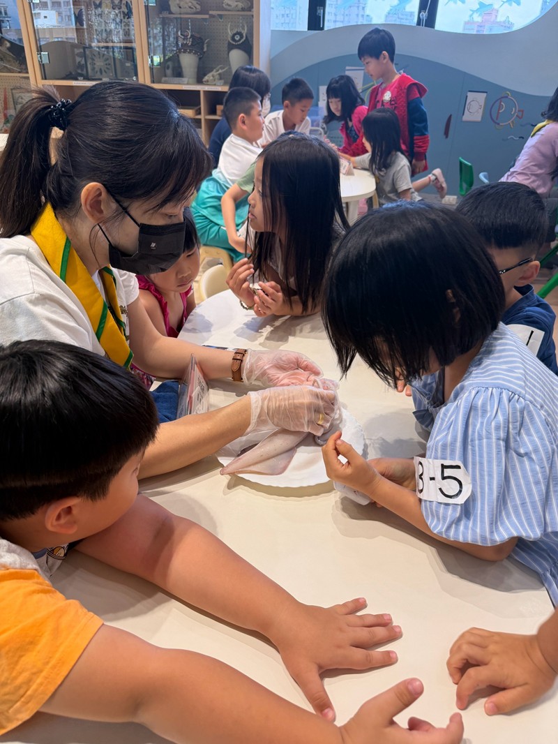 幼兒園：餐桌上的科學-貝類篇(7/22)-圖片25