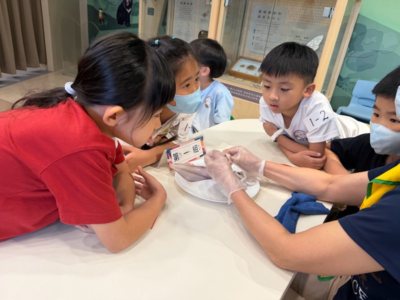 幼兒園：餐桌上的科學-貝類篇(7/22)-圖片26