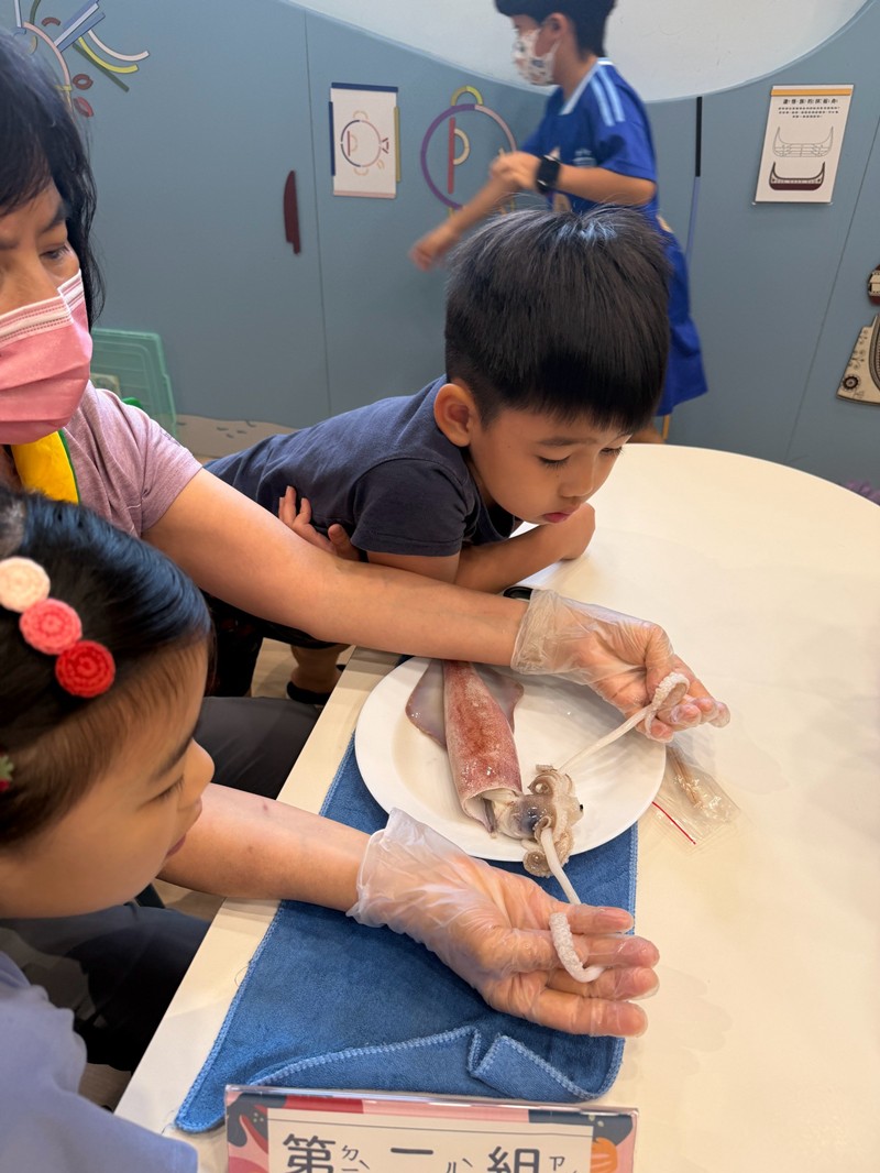 幼兒園：餐桌上的科學-貝類篇(7/22)-圖片27