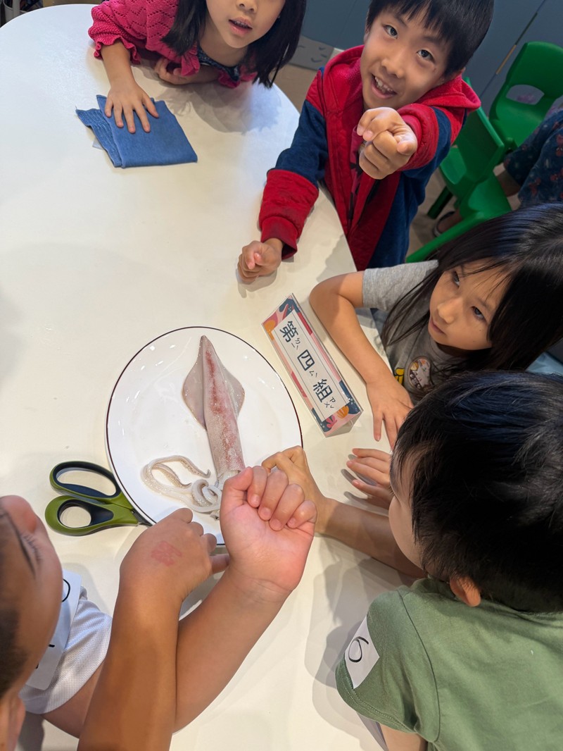 幼兒園：餐桌上的科學-貝類篇(7/22)-圖片28