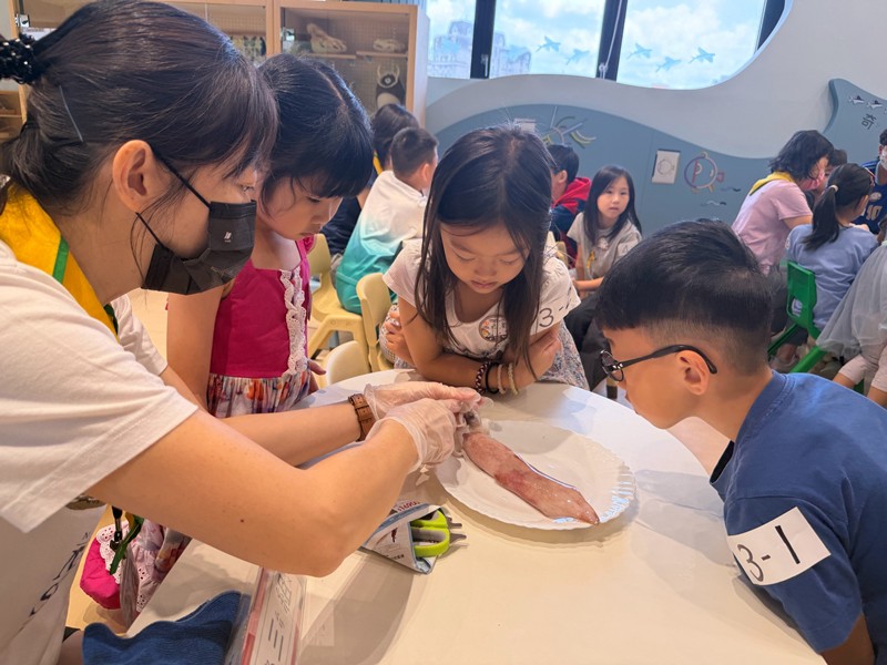 幼兒園：餐桌上的科學-貝類篇(7/22)-圖片29