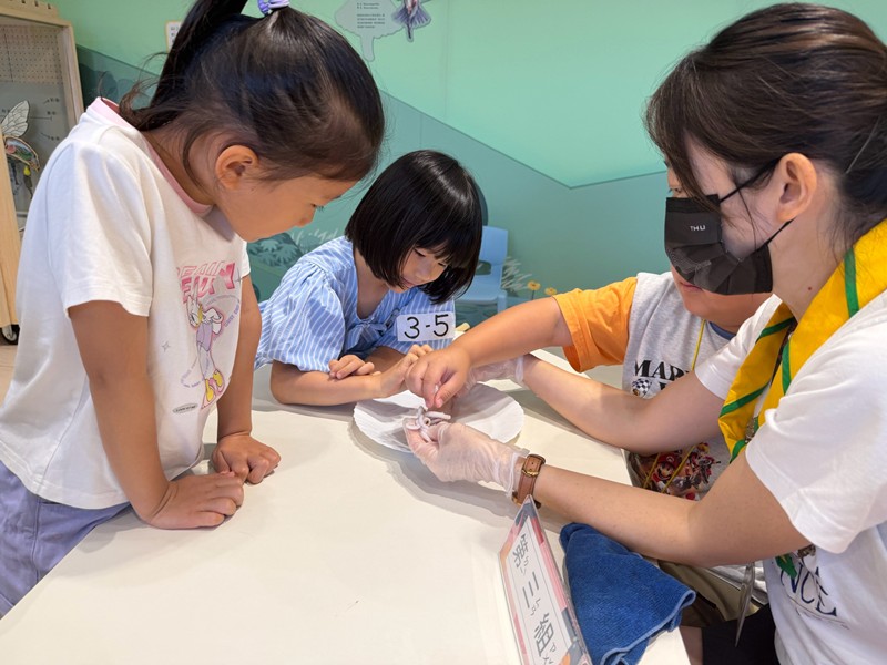 幼兒園：餐桌上的科學-貝類篇(7/22)-圖片30