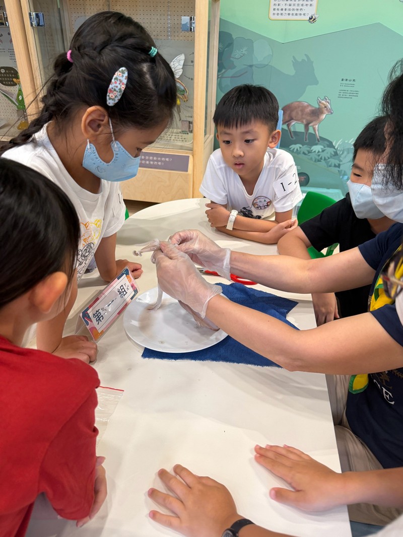 幼兒園：餐桌上的科學-貝類篇(7/22)-圖片31