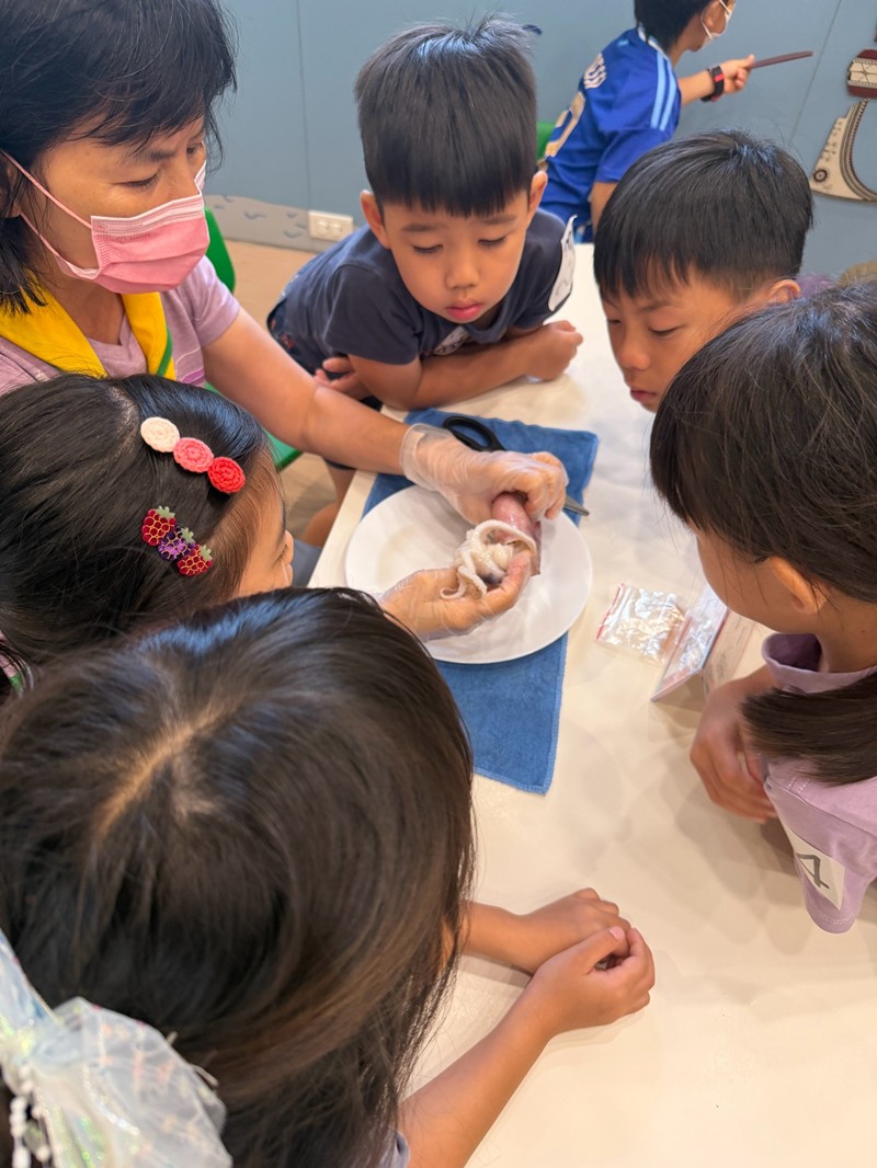 幼兒園：餐桌上的科學-貝類篇(7/22)-圖片32