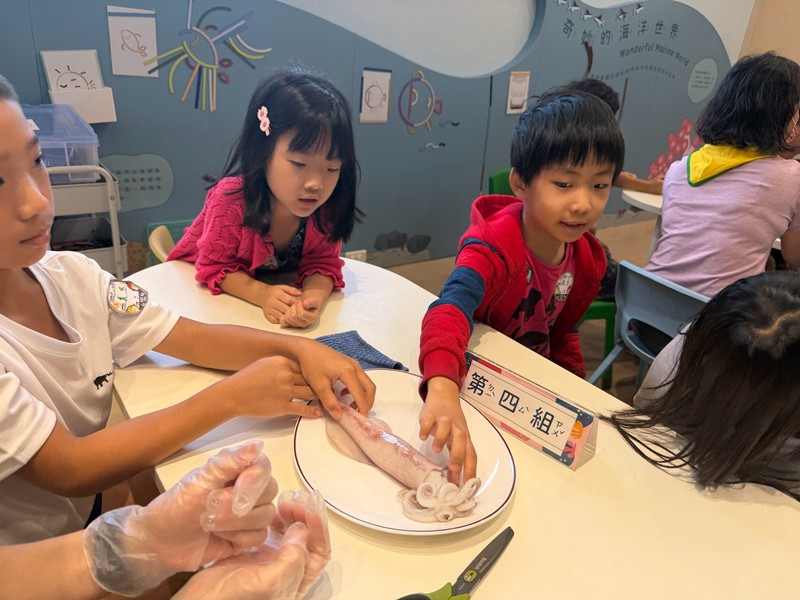 幼兒園：餐桌上的科學-貝類篇(7/22)-圖片34