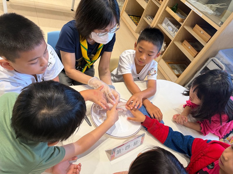 幼兒園：餐桌上的科學-貝類篇(7/22)-圖片35