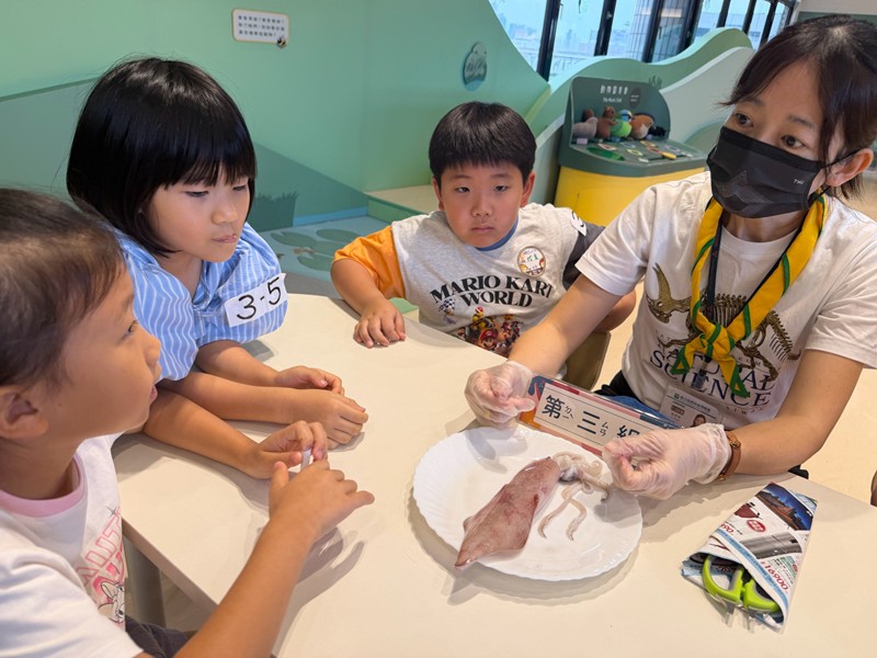 幼兒園：餐桌上的科學-貝類篇(7/22)-圖片36