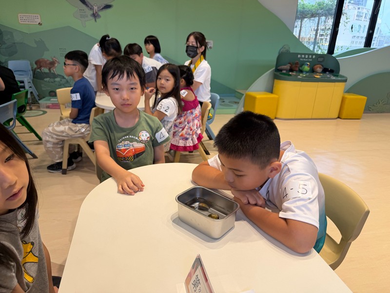 幼兒園：餐桌上的科學-貝類篇(7/22)-圖片41