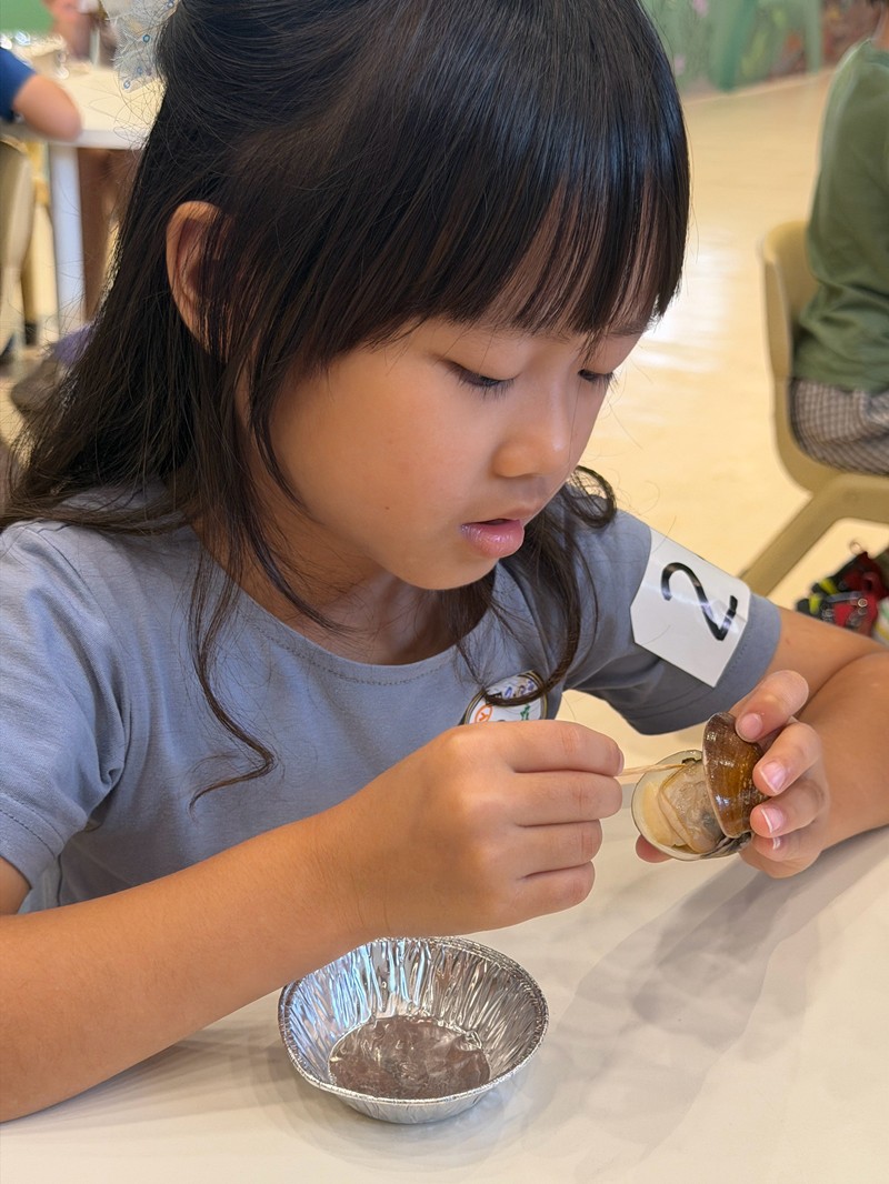 幼兒園：餐桌上的科學-貝類篇(7/22)-圖片54