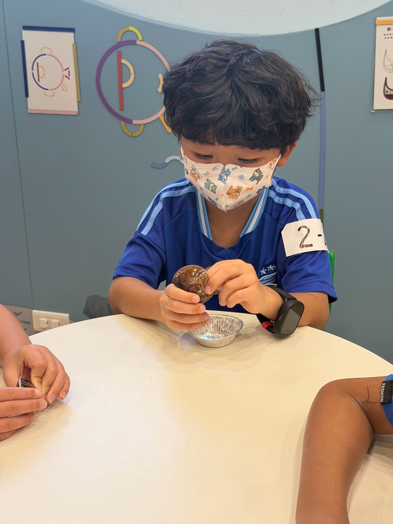 幼兒園：餐桌上的科學-貝類篇(7/22)-圖片70