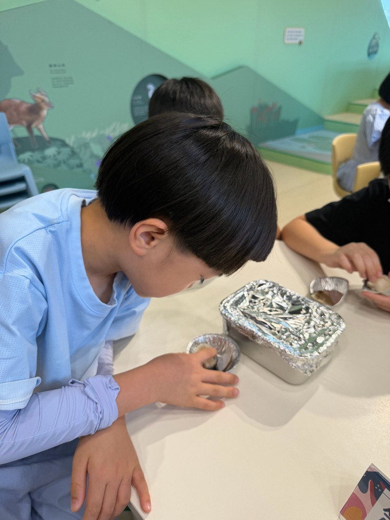 幼兒園：餐桌上的科學-貝類篇(7/22)-圖片77