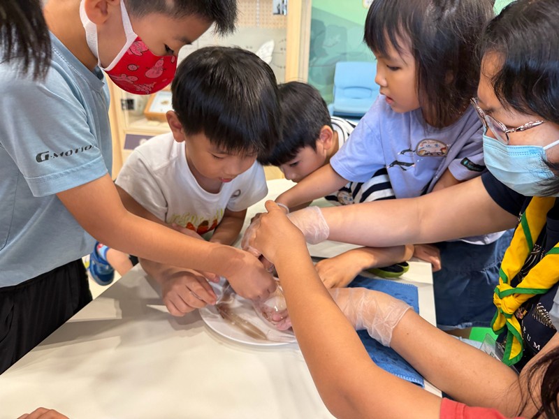 幼兒園：餐桌上的科學-貝類篇(7/24)-圖片8