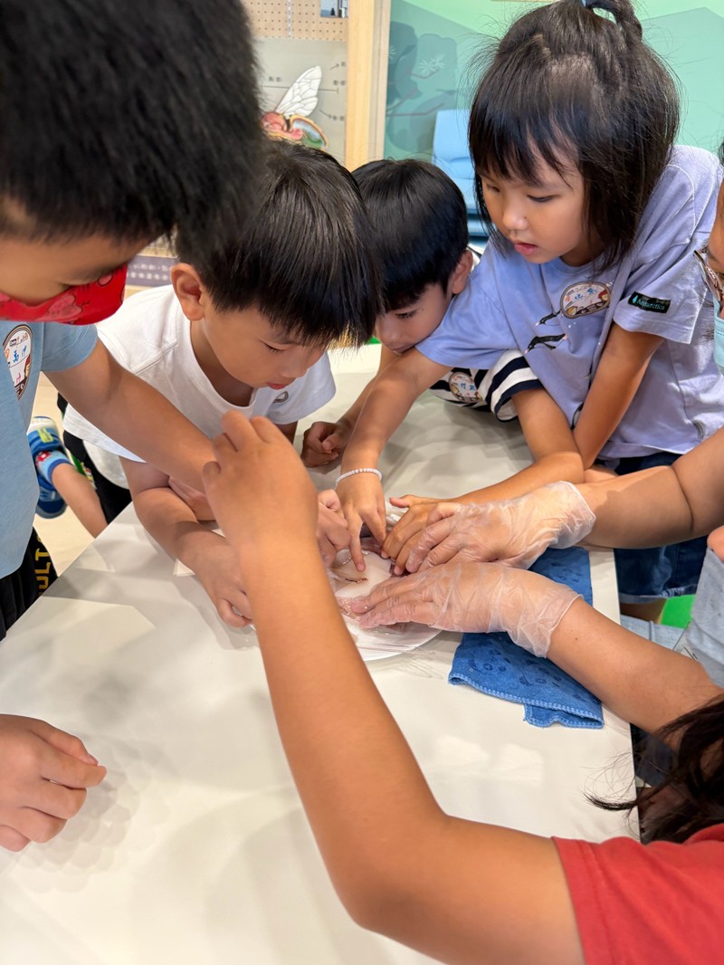 幼兒園：餐桌上的科學-貝類篇(7/24)-圖片9