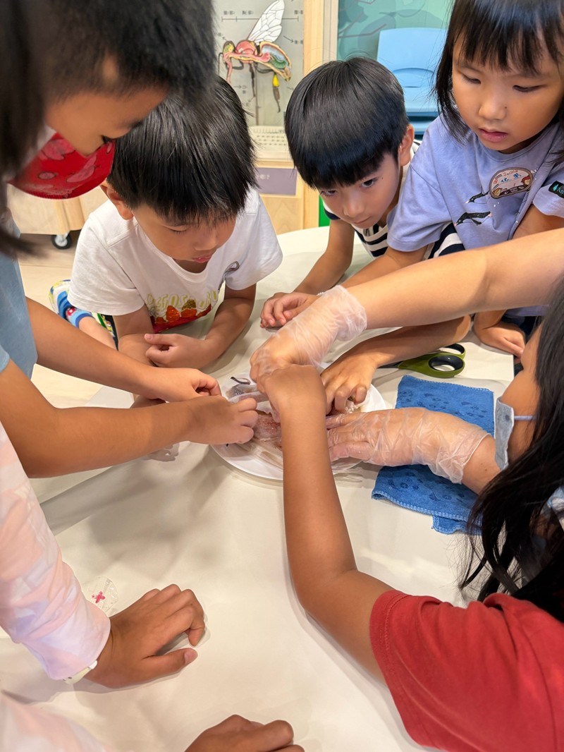 幼兒園：餐桌上的科學-貝類篇(7/24)-圖片10