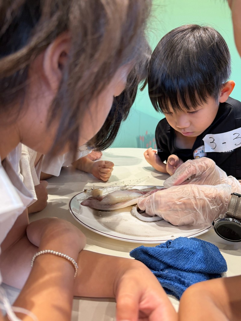 幼兒園：餐桌上的科學-貝類篇(7/24)-圖片11