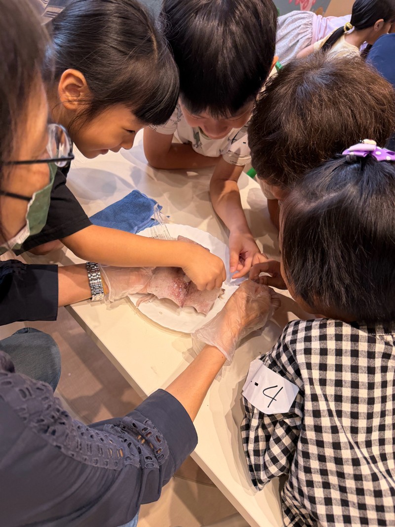 幼兒園：餐桌上的科學-貝類篇(7/24)-圖片13
