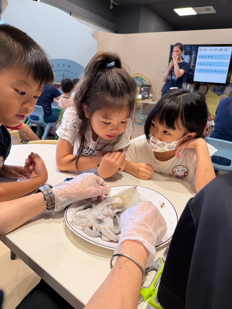 幼兒園：餐桌上的科學-貝類篇(7/24)-圖片14