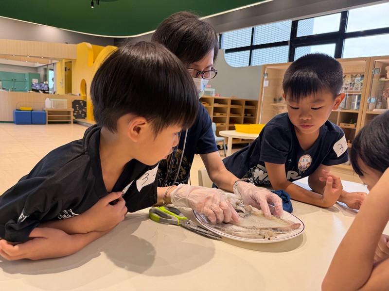 幼兒園：餐桌上的科學-貝類篇(7/24)-圖片15