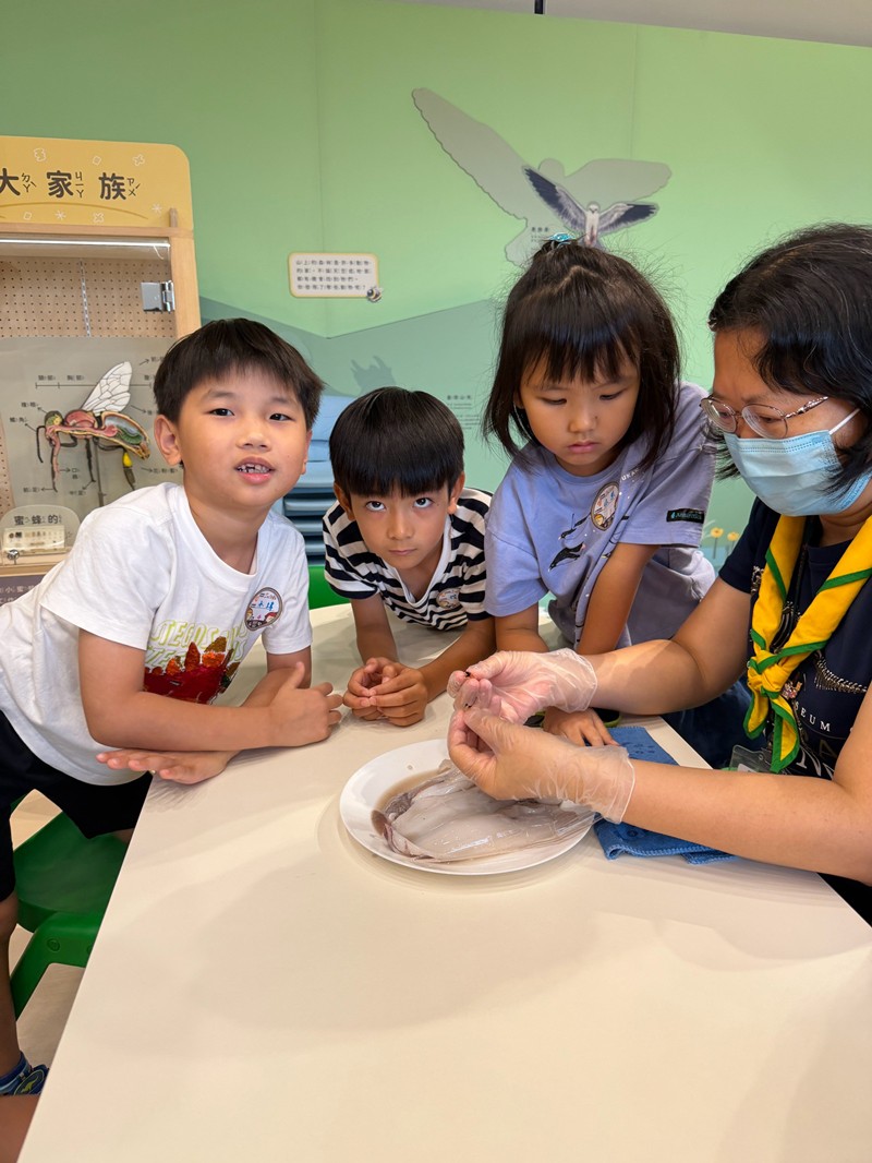 幼兒園：餐桌上的科學-貝類篇(7/24)-圖片17