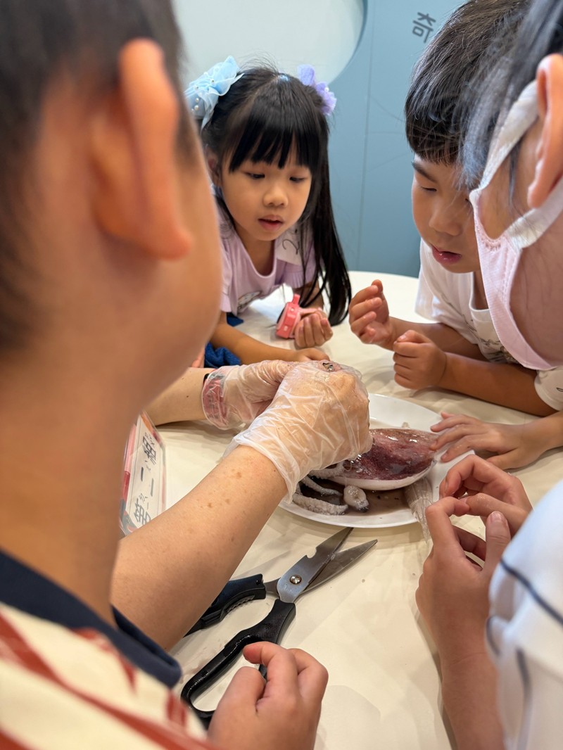 幼兒園：餐桌上的科學-貝類篇(7/24)-圖片19