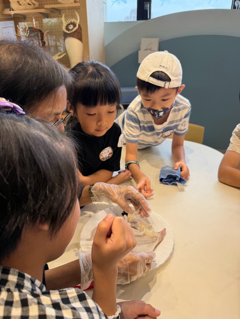 幼兒園：餐桌上的科學-貝類篇(7/24)-圖片20